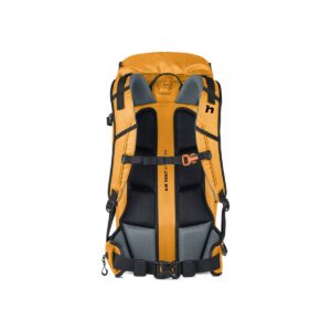 Hannah Arrow 40 inca gold back